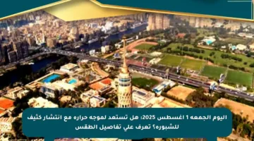 اليوم الجمعة 1 أغسطس 2025: هل تستعد لموجة حرارة مع انتشار كثيف للشبورة؟ تعرف على تفاصيل الطقس